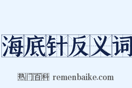 海底针反义词是什么意思的图片